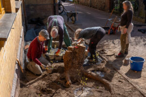 260411_Planzung_Alter_Gasthof_Missen-61