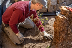 260411_Planzung_Alter_Gasthof_Missen-66